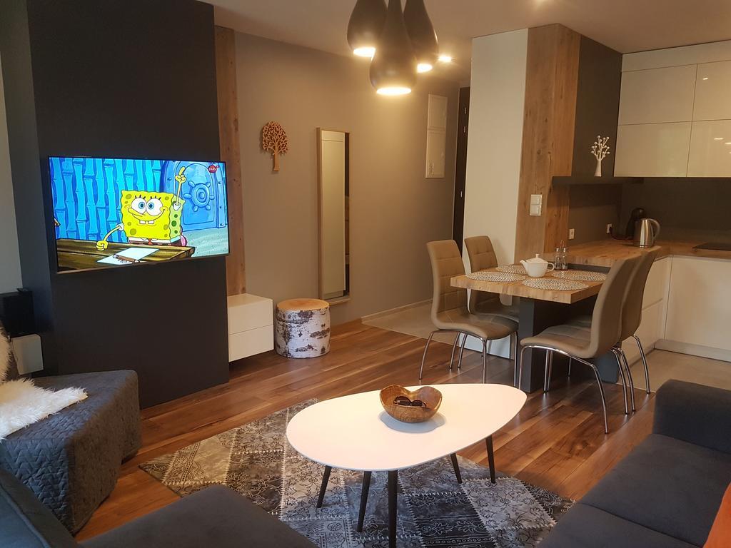 Apartament Ornak ザコパネ エクステリア 写真