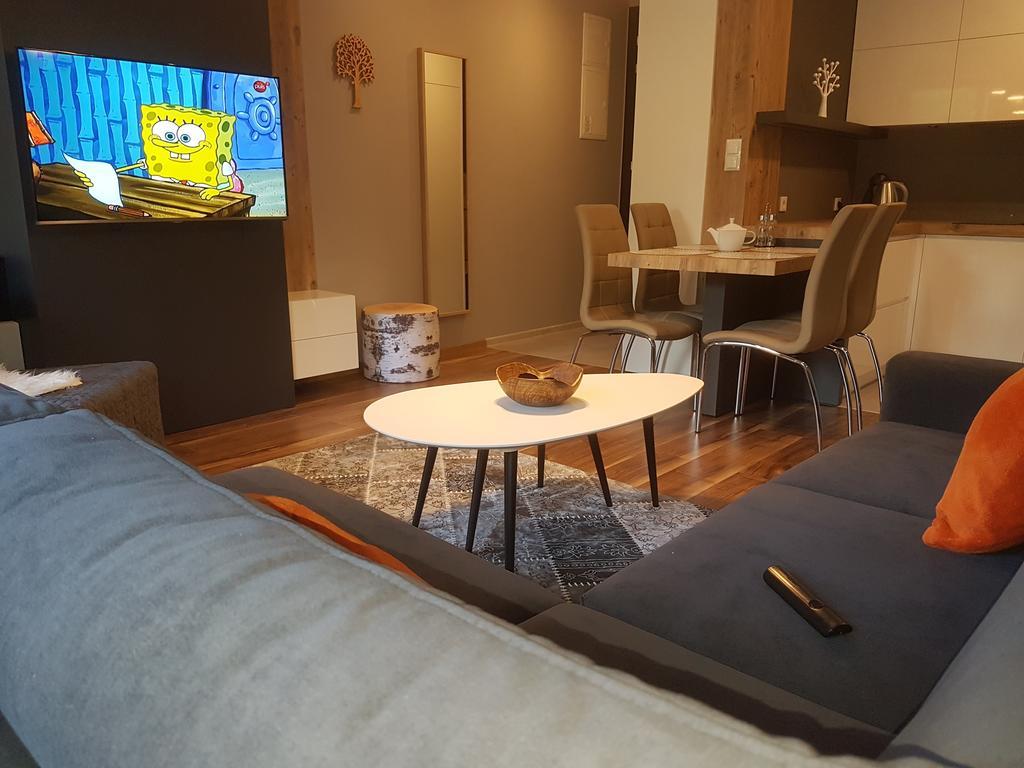 Apartament Ornak ザコパネ エクステリア 写真
