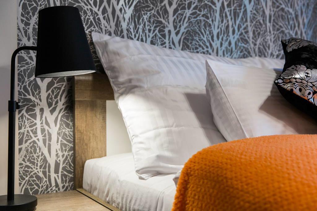 Apartament Ornak ザコパネ エクステリア 写真